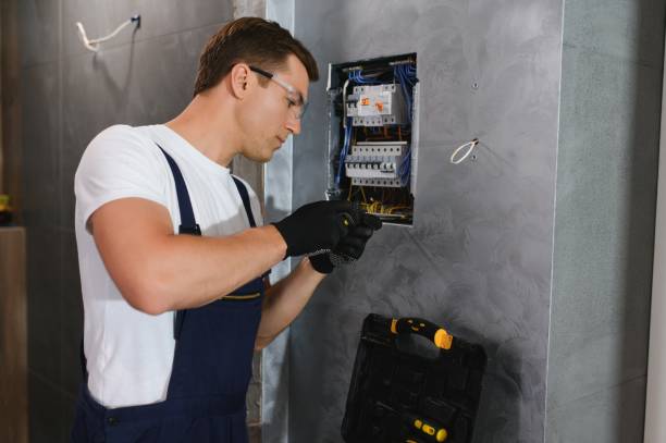 Best Licensed Electrician  in Hamburg, IA